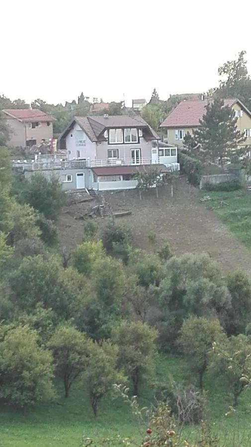 Panorama Apartman Molvice Esterno foto